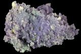 Shimmering, Purple, Botryoidal Grape Agate - Indonesia #79093-1